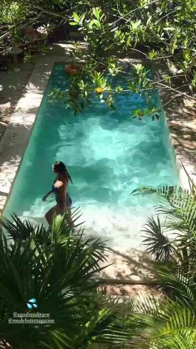 Going for a swim 8/16/2023