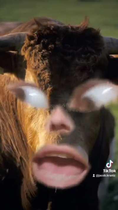 Reverse cowgi... 🤣