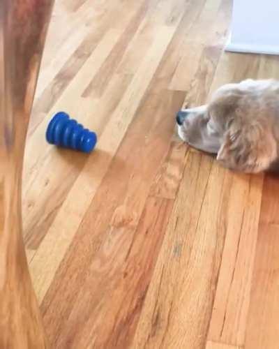 Me during quarantine