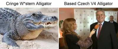 Zeman: Least Drunk Czech President 🍺🍻🥂🍷🥃🍸🇵🇭🇵🇭