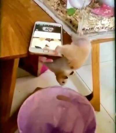 To not fall in the trash.