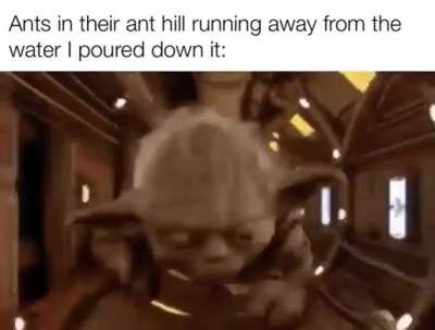 it s my pee😎😎😎😜🤩😂😂🤣