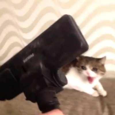 Taking a deep breath *Super depressed meow*