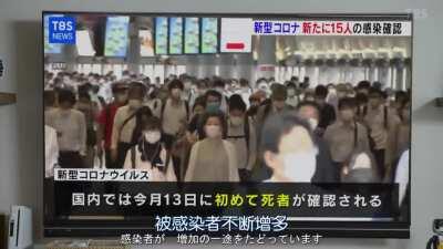 太好了家人们，又又又乳了😅