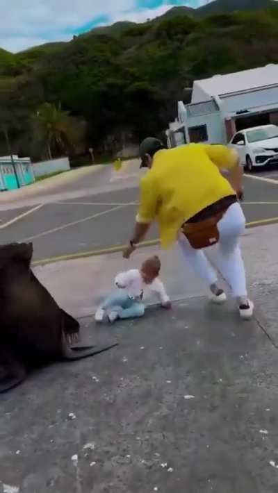 What part of WILD ANIMAL do people not get?🙄.