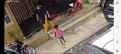 Mother saves son from cobra