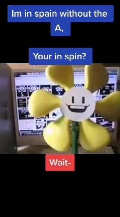Spin