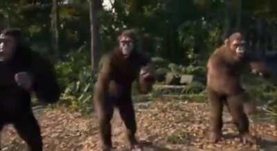 Times were better when this dropped