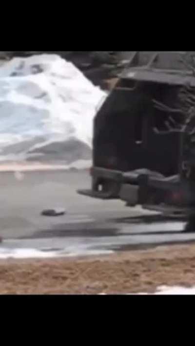 It didn’t stand a chance.