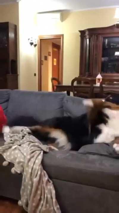 High level of jealousy🤗