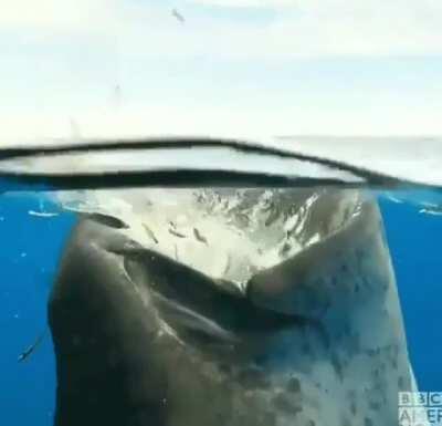 AAAAAAAAAAAAAAAAAAAAAAAA