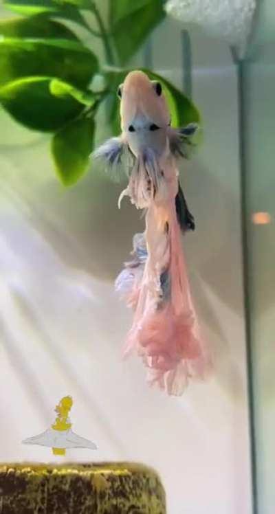 can we get a little noise for the dress please ?👗 ✨