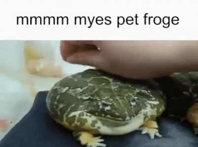 look at this frog