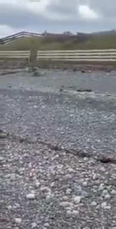 🔥 Rabbit emerges from the ocean. We have officially gone mad.