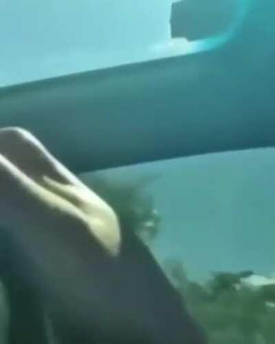 WCGW Lighting a firework in a car.