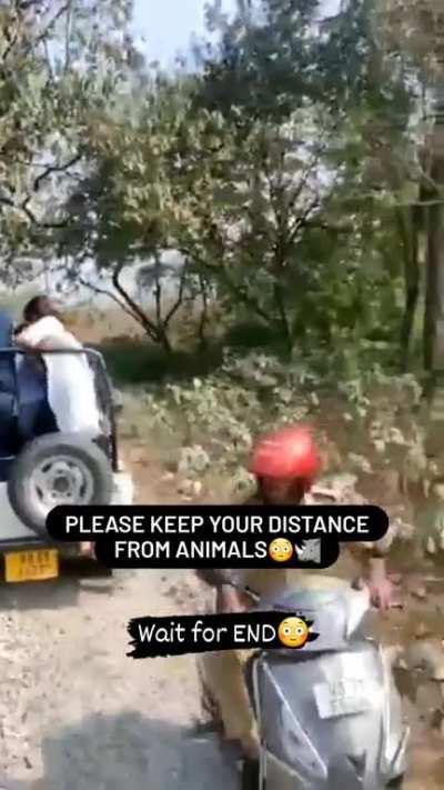 worst forest driver, i guess.