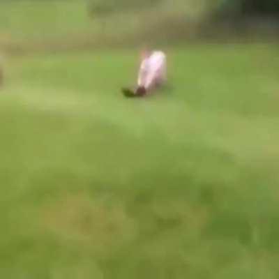 Down on the farm, the fight comes to you.