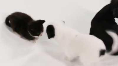 Curiosity has its own reason for existing. Wonder is the beginning of wisdom.