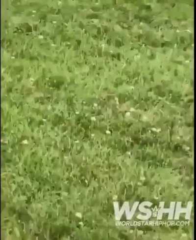 Man gets beating after hitting woman