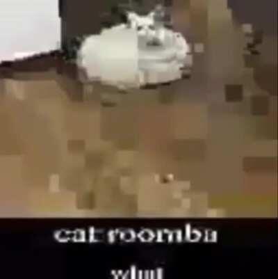 Catroomba