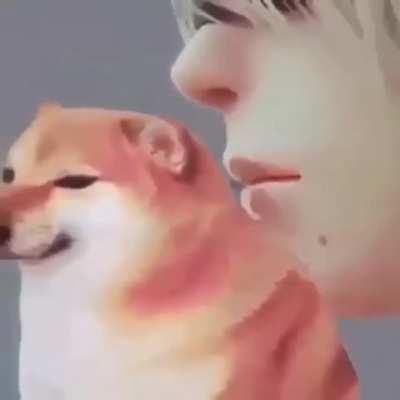 why d*ck when you have dogs