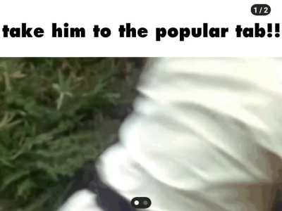 What different nationalities do we have in the sub? (Gifs unrelated)