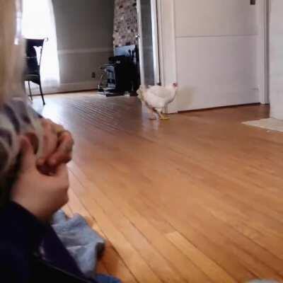 No more wheelchair for Helga! 🙏❤