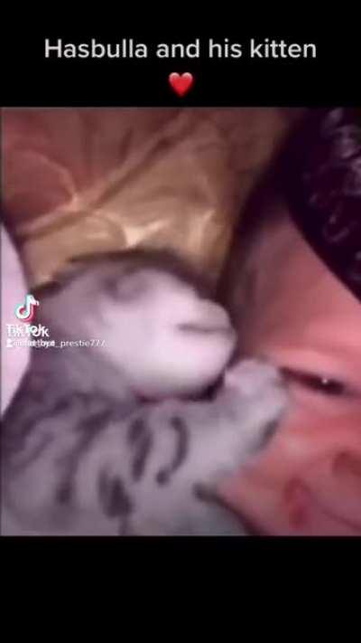 My little men and his kitten