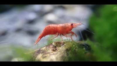 Ah yes, that's the spot.