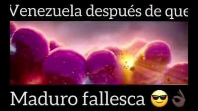 Si Orson lo streamea, bienvenido sea.