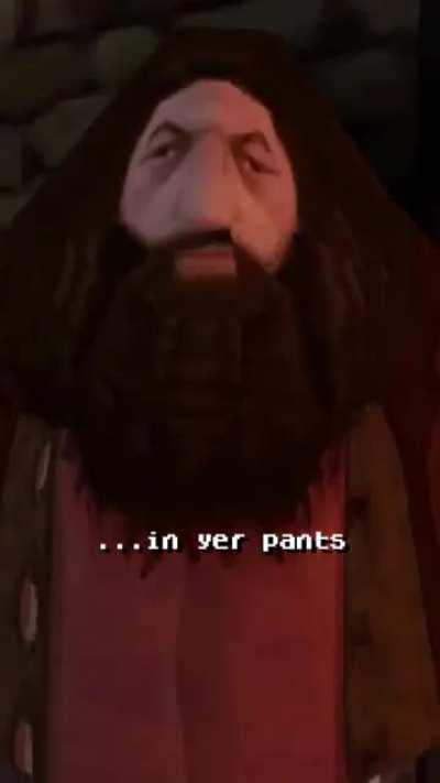 Harry Potter Gone Wild Director's Cut