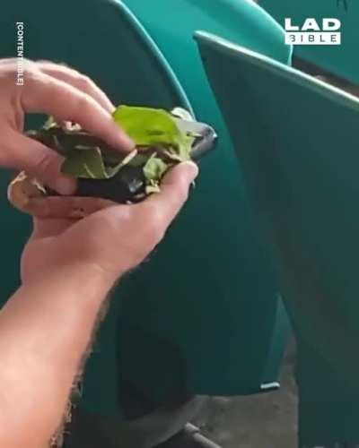 sandwich 🥪🥪🥪