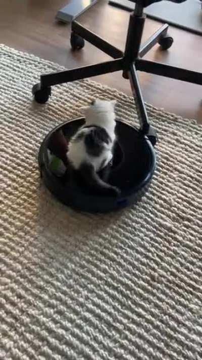 Real footage of a criminal attempting to escape in her getaway car.