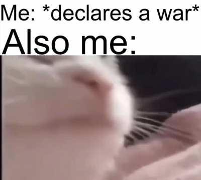 If you say this is untrue then you lie