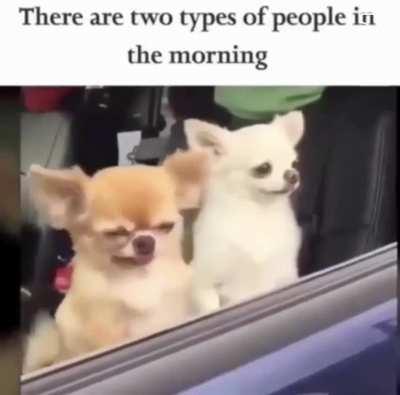 Which one are you? 😎