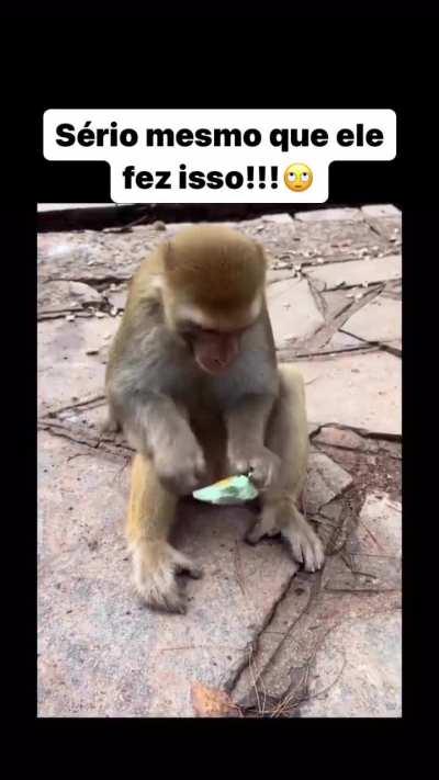 Higiene em primeiro lugar