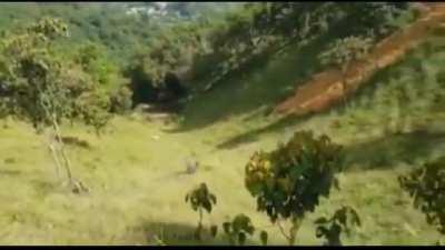 What do you think he is when he hits the botton?