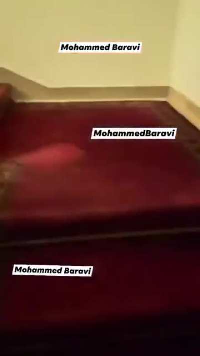 At Bashars home/palace