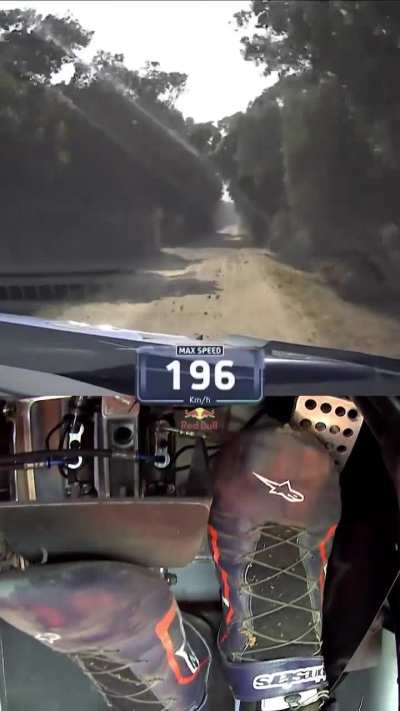 Adrien Fourmaux's pedals during a World Rally Championship race