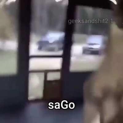 SaGo?? vs plaka yerli dans eden ördek