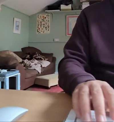 My new employee is going to get us fired