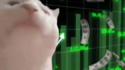 Me all day yesterday and today