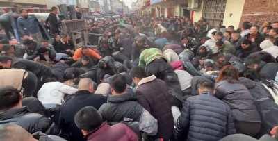 Picking jade from mountain