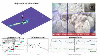 Gaze and foot placement when walking over rough terrain (article link in comments) [OC]