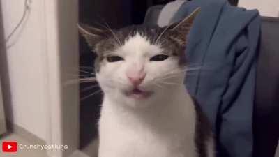 Me feeding my familiar magical gemstones (he will be the strongest of all)