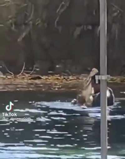 If this isn't a random event, I'm not buying it (jk)