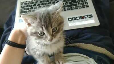 Grizzly telling me about his day ❤️