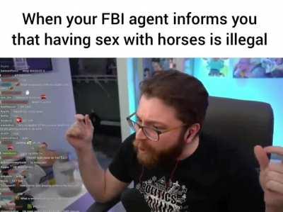 obligatory horse meme