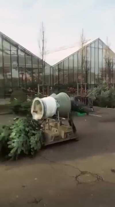 Just a normal day at the Christmas Tree Farm