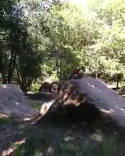 How come or was he probably still shocked